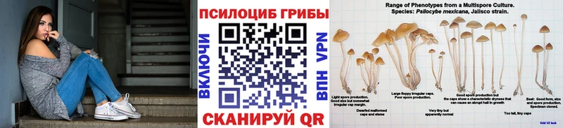 Галлюциногенные грибы ЛСД  blacksprut ссылка  Карасук 