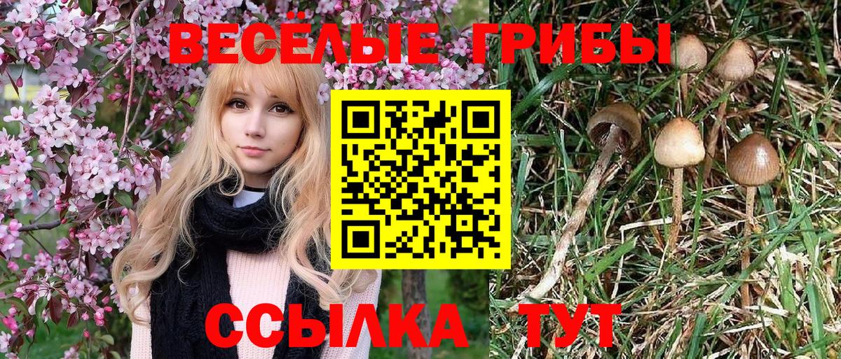 Галлюциногенные грибы ЛСД Карасук