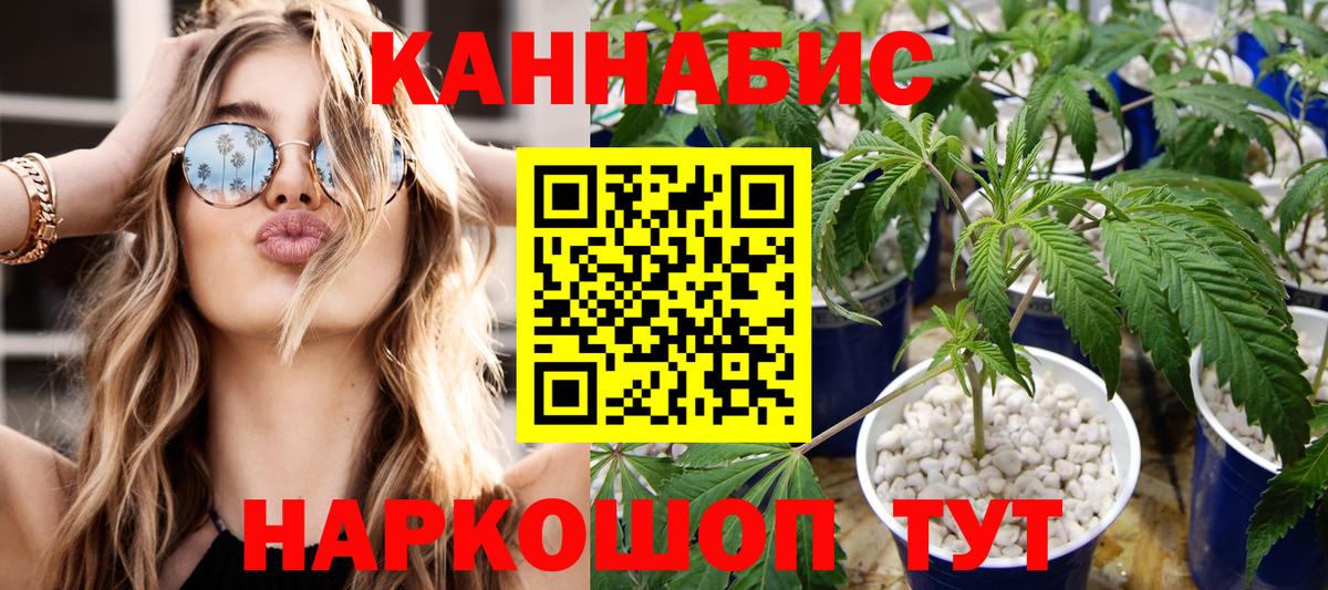 МАРИХУАНА гибрид Карасук